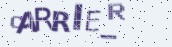 VeriCode