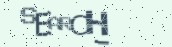 VeriCode