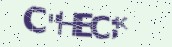 VeriCode