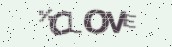 VeriCode